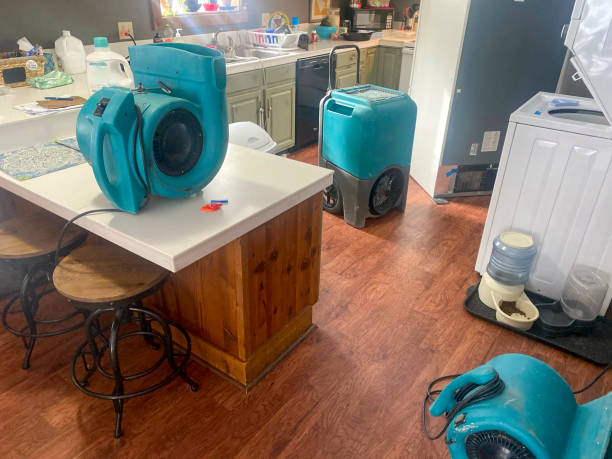 Best Water damage restoration near me  in Ashdown, AR