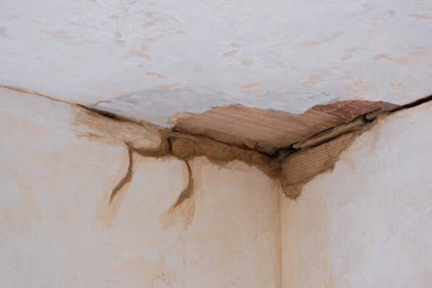Best Water damage restoration near me  in Ashdown, AR