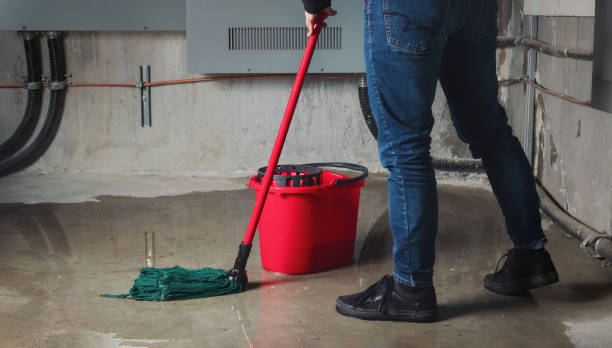 Best 24/7 water damage repair  in Ashdown, AR