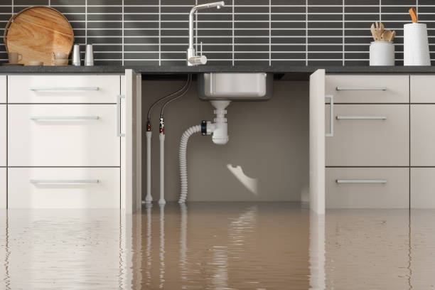 Best Flood restoration services  in Ashdown, AR