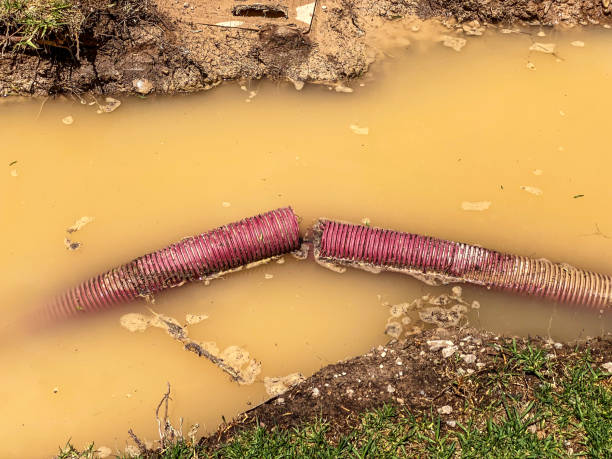 Best Emergency water damage restoration  in Ashdown, AR